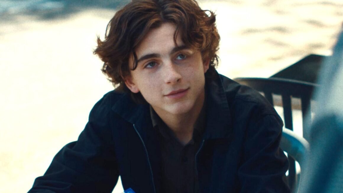 Filme von Timothée Chalamet